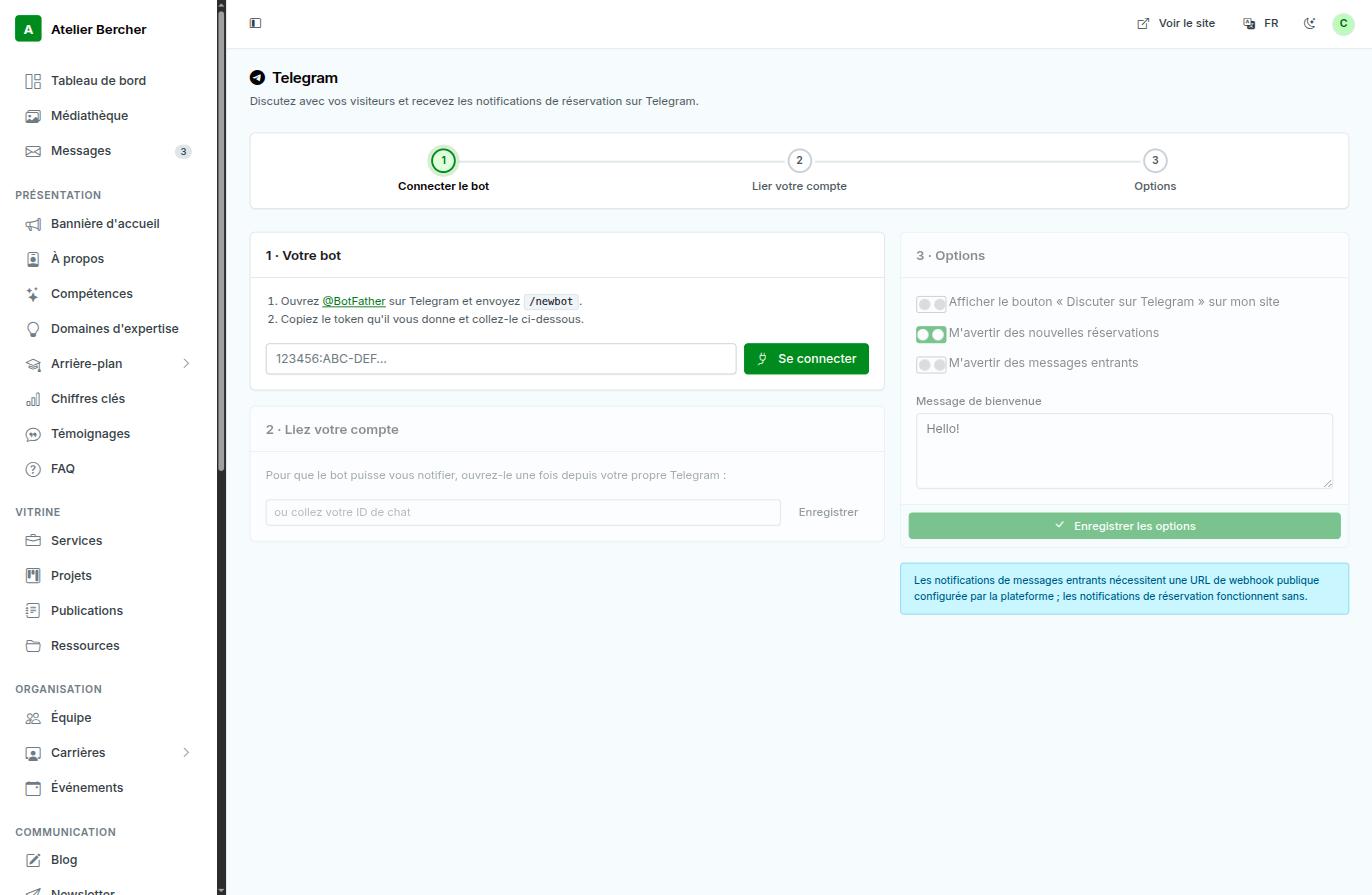 The Telegram screen: three steps — connect the bot, link your account, options.